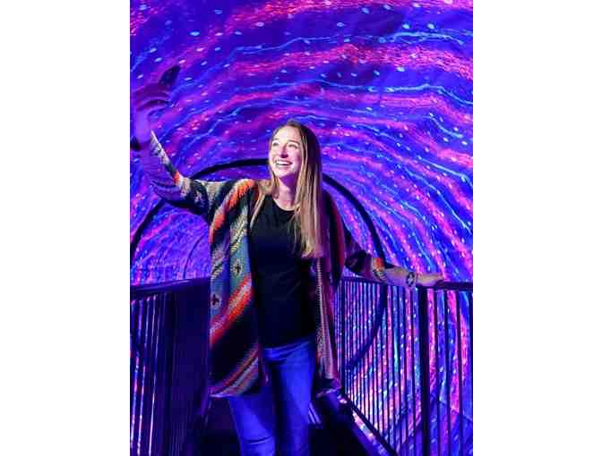 Experience the Unbelievable at the NYC Museum of Illusions