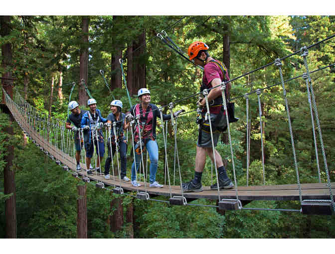 Tickets for Two on the Sequoia Aerial Adventure at Mount Hermon Adventures - Photo 1