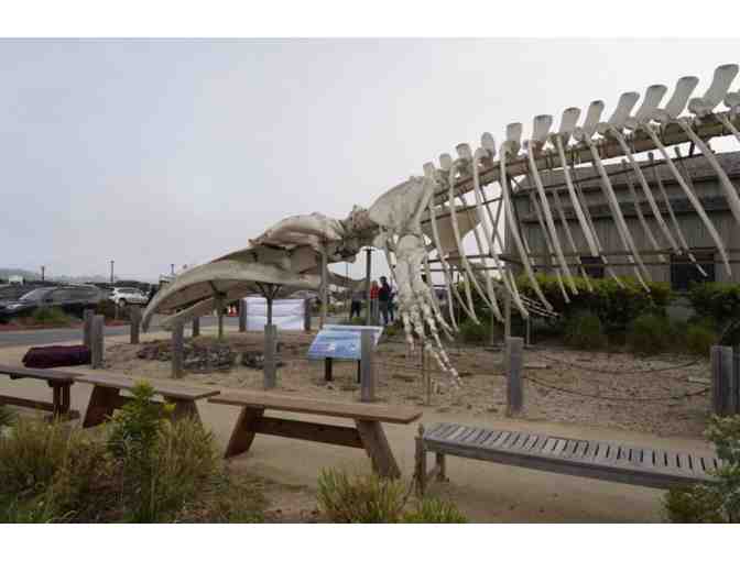 4 passes to the Seymour Marine Discovery Center!