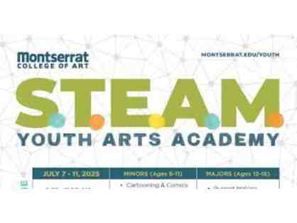 S.T.E.A.M. Youth Arts Academy