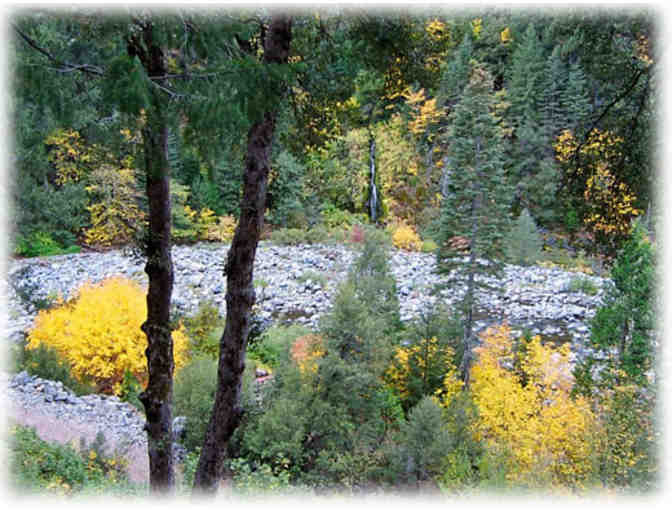 CA - Sierra City - Sierra Pines Resort - 2 Night Get Away