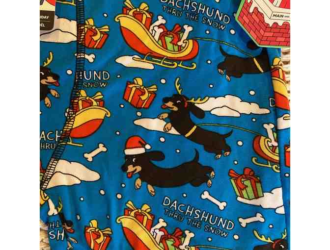 Men's Boxer Briefs, Size L, Dachshund thru the Snow!
