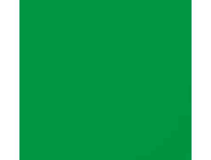 J. Crew Kelly Green Eyelet Puff/Short Sleeve V-Neck Shirt (Ladies S)