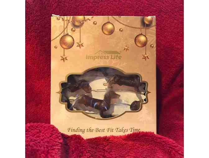 Dachshund LED String Lights - 10 foot string