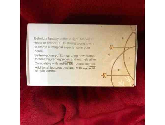 Dachshund LED String Lights - 10 foot string