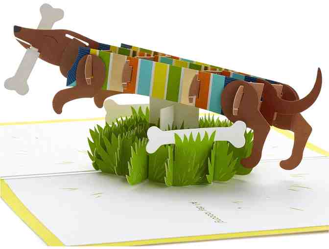 Hallmark Signature Paper Wonder Pop Up Card!! For Birthday, Father's Day, Mother's Day