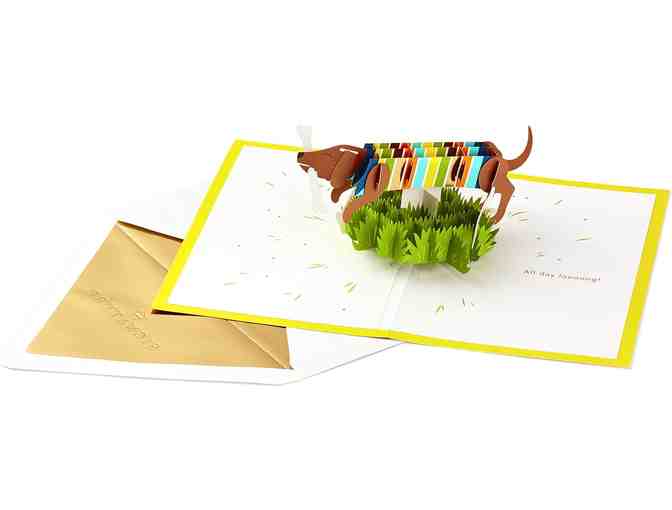 Hallmark Signature Paper Wonder Pop Up Card!! For Birthday, Father's Day, Mother's Day