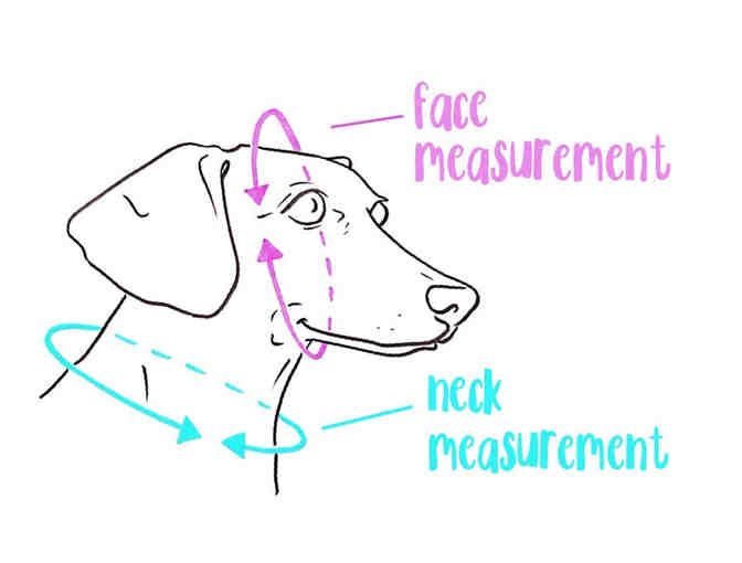 Hand Knitted Matching Hat Set! For you and your pup! Choice of Whole Grain or Natural!