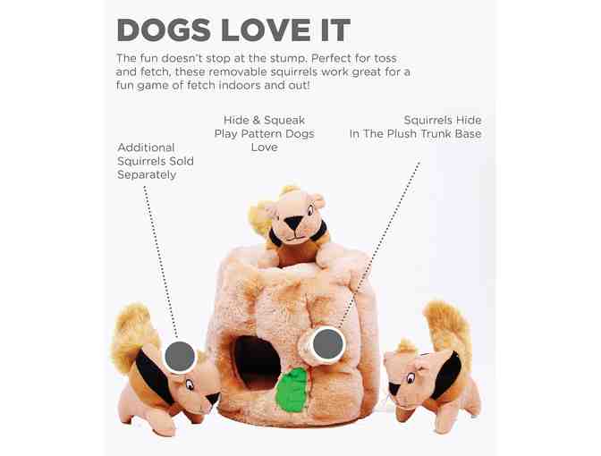 Outward Hound Hide A Squirrel Plush Dog Toy Puzzle, Small