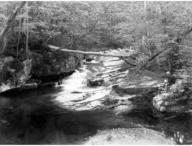 Seneca Ray Stoddard, 'Artist Falls, Keene Valley' Framed Print