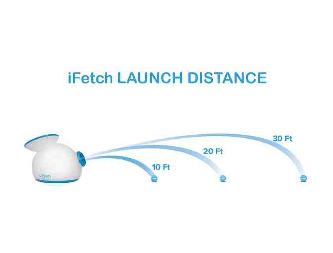 iFetch Interactive Ball Launchers for Dogs