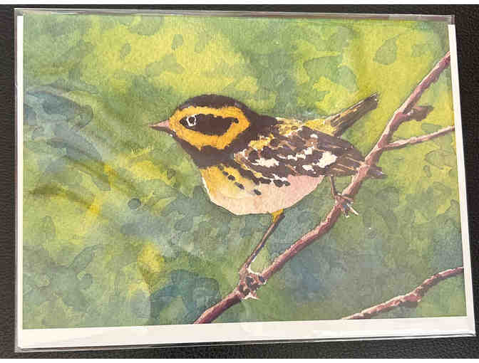 Alan Sanborn's Bird-Themed Note Cards