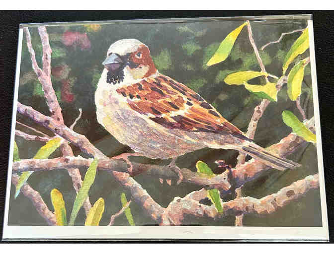 Alan Sanborn's Bird-Themed Note Cards