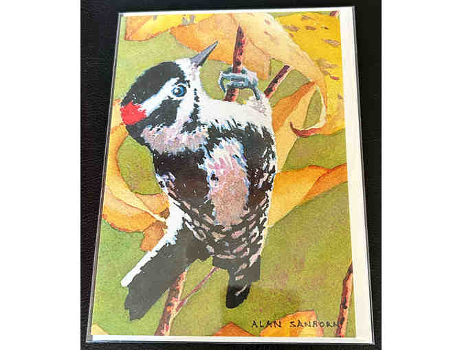 Alan Sanborn's Bird-Themed Note Cards