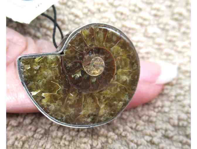 Baroni Ammonite and Silver Ring - Size 7