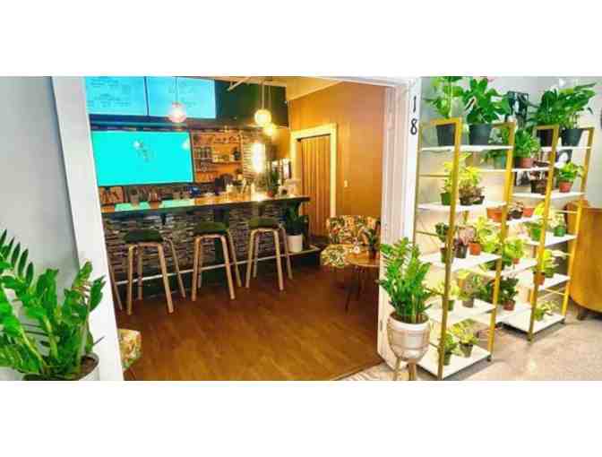 Cars, Coffee, & Confections