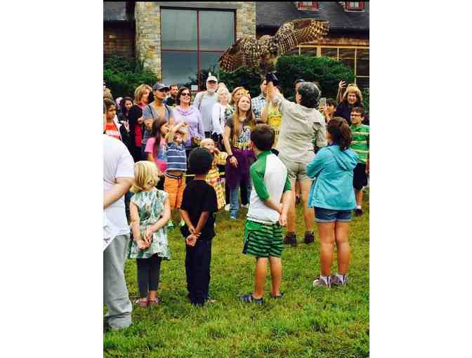 Life's for the Birds!