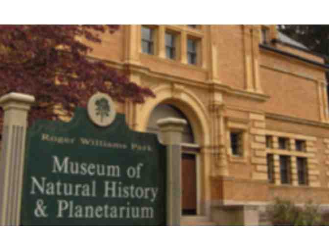 Museum, Zoo and Eats