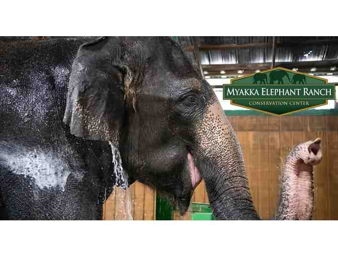 Myakka Elephant Ranch Guest Passes