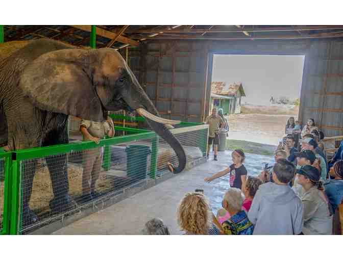 Myakka Elephant Ranch Guest Passes