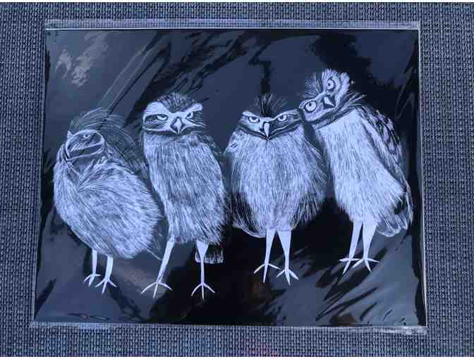 Burrowing Owl Family