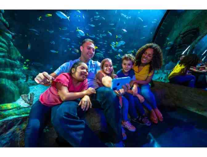 Merlin Entertainments - Three cool things to visit - Orlando