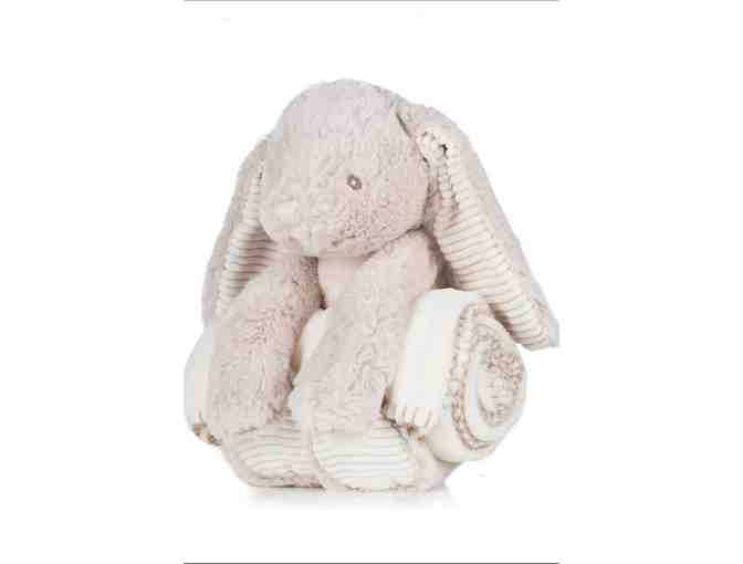 Rascally Rabbit Collection