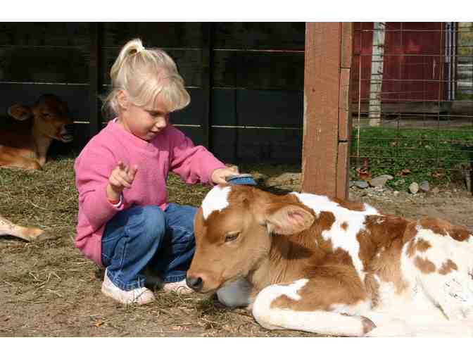 Davis Farmland OR Davis Mega Maze- Admission for Four (4) People