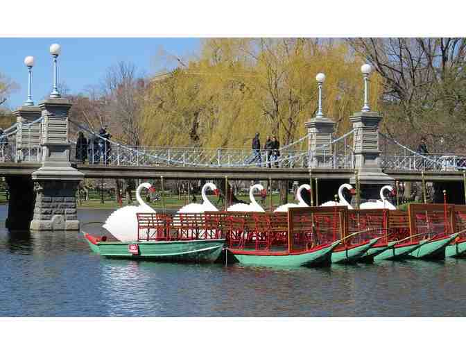 Swan Boats of Boston- 4 Boat Ride Passes & Chipotle 2 Entrees + 1 Chips and Queso Cards