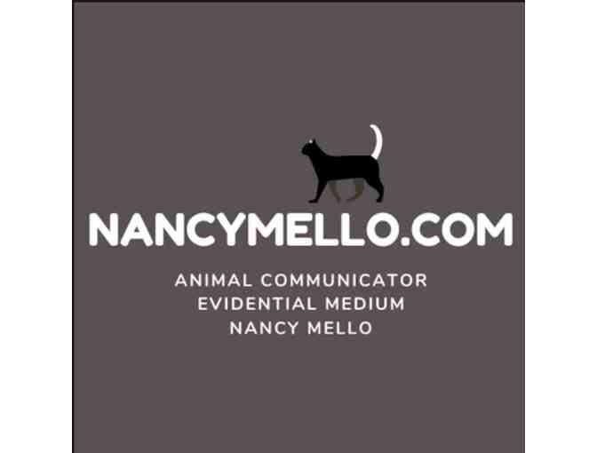 Session with Pet Communicator Nancy Mello