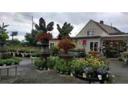 Northeast Nursery $100 Gift Card