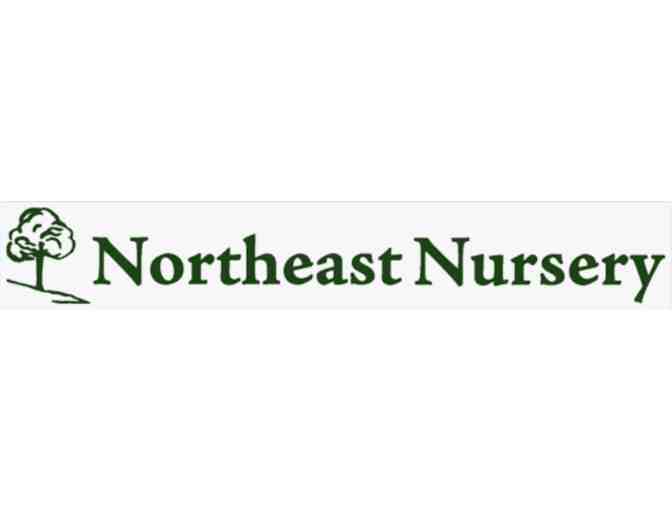 Northeast Nursery $100 Gift Card - Photo 2