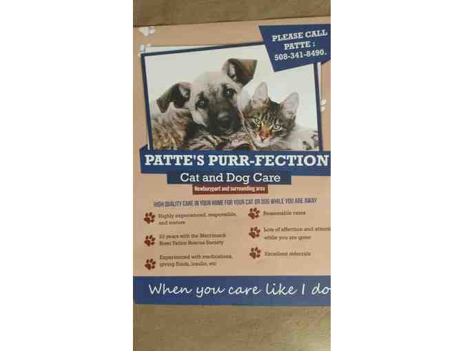 Patte's Purrfection Pet Sitting - Four In-home Visits within 10 Miles of Newburyport