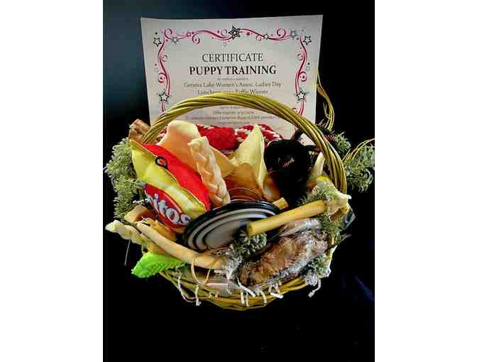 Pawsitively Perfect Pet Package: Training, Leash, and Toys Galore! - Photo 1