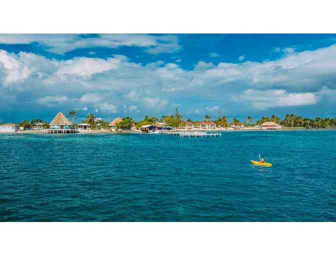 1 TRAVEL: Belize (7 nights, Turneffe Atoll, Blackbirds Caye, Diving, Meals)