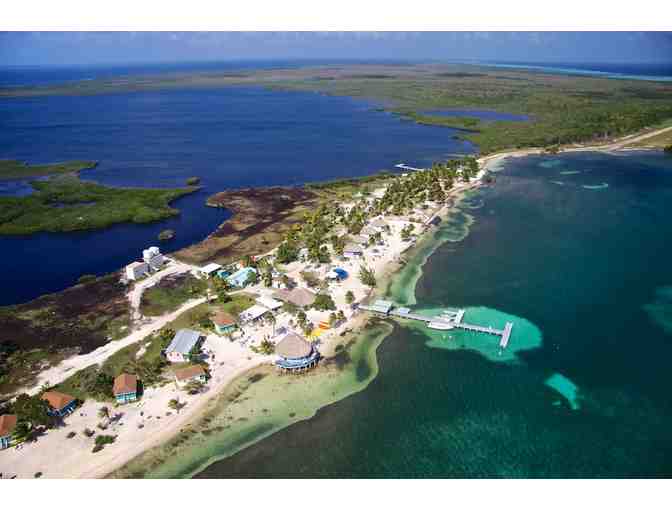 1 TRAVEL: Belize (7 nights, Turneffe Atoll, Blackbirds Caye, Diving, Meals)