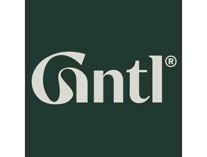 Gntl Skin Wash, Facial-Grade Cleanser for Face and Body - Photo 6