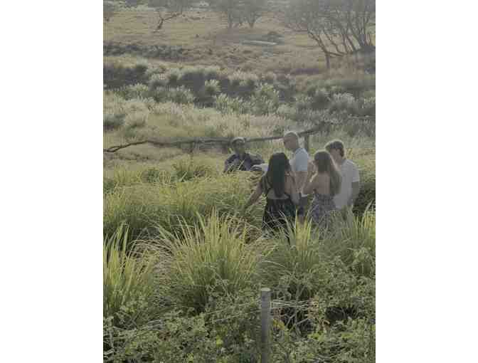Lunch for Four (4) at The Farm Lanai at Ouli Farms