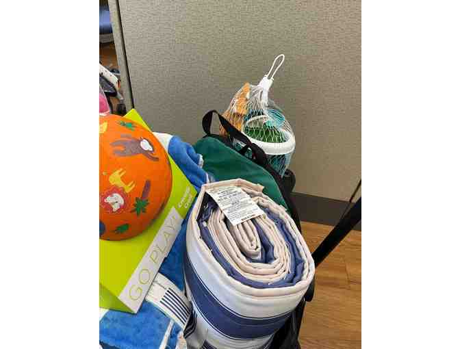 Beach and Park Day Kit