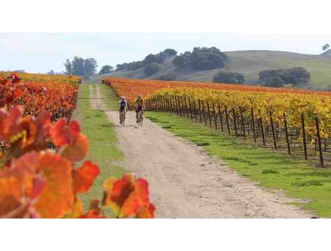 All Day E-bike Rentals for 2 in Wine Country