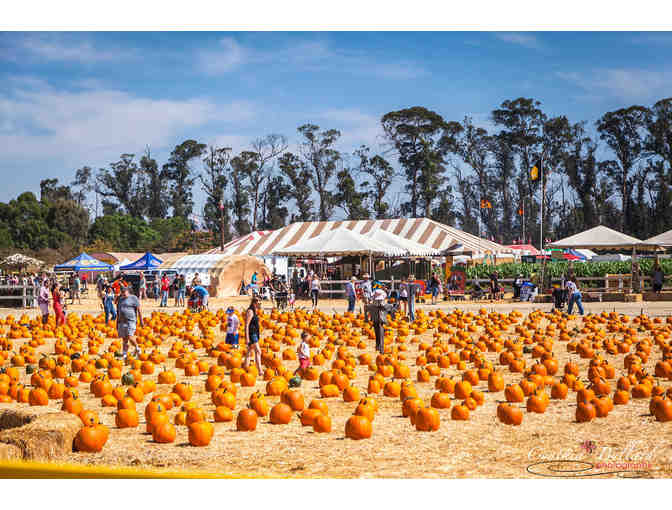 Family Season Pass to Underwood Family Farms in Moorpark