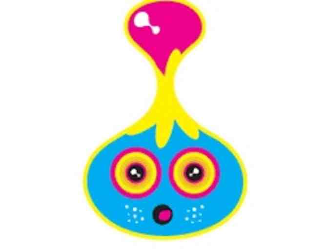 $200 Ticket Voucher to the Sloomoo Institute