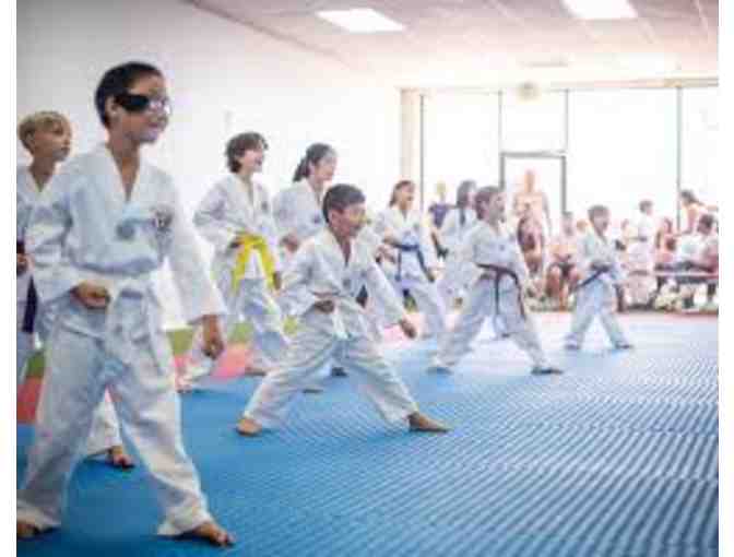 2 week trial at Progression Taekwondo