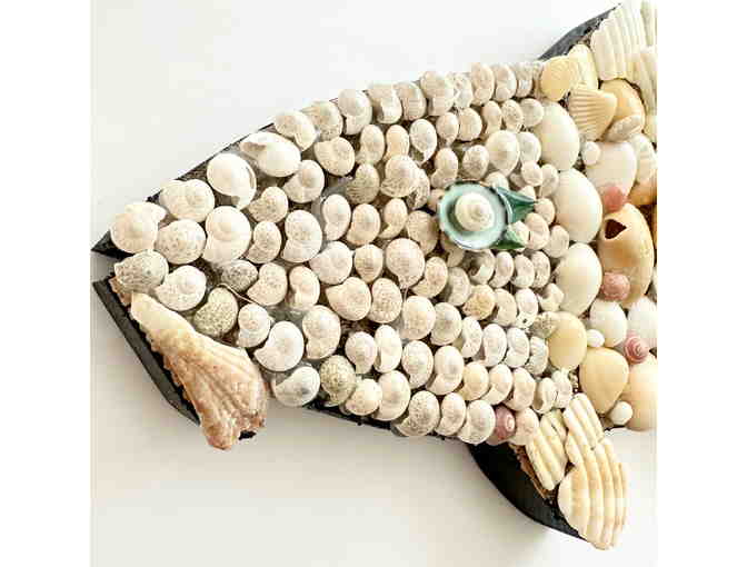 TropiCod By Patti DiCarlo Baker