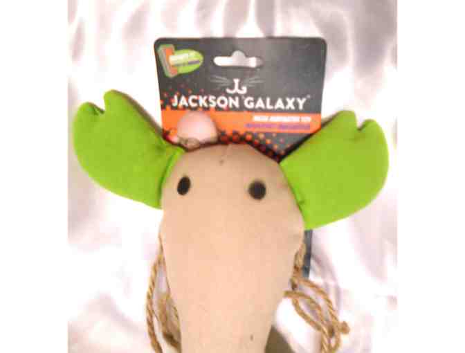 Bag O Cat Toys #1 - Photo 3