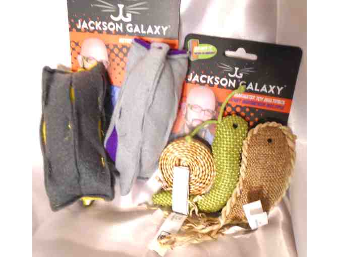 Cat Toys No 2 - Photo 2