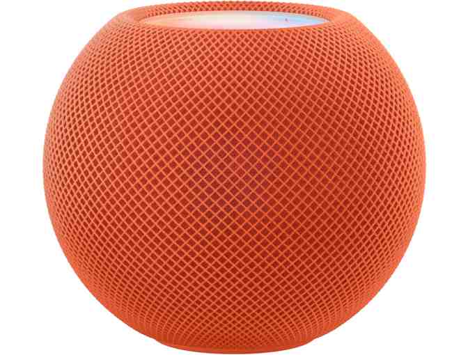 Class Basket: Smart Home, Smart Family (Burton)