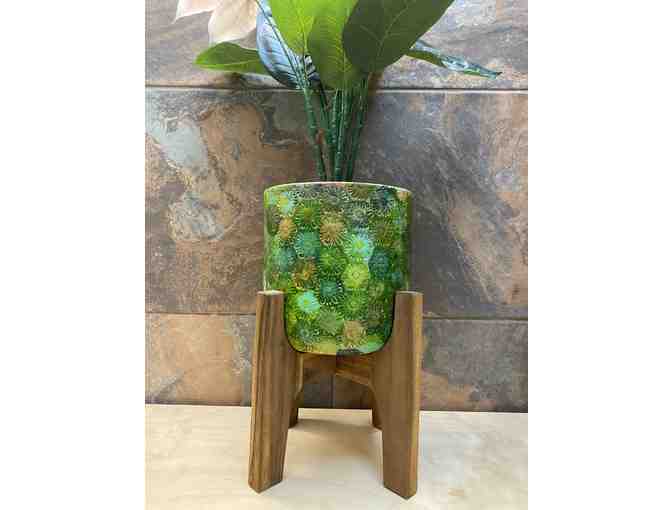 MSM Class Art: 'Rain Forest' (LE West)