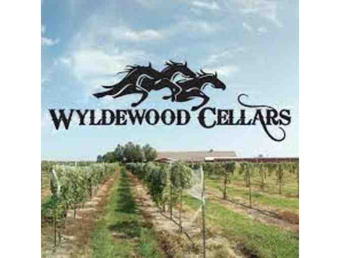 Sip & Swing Experience