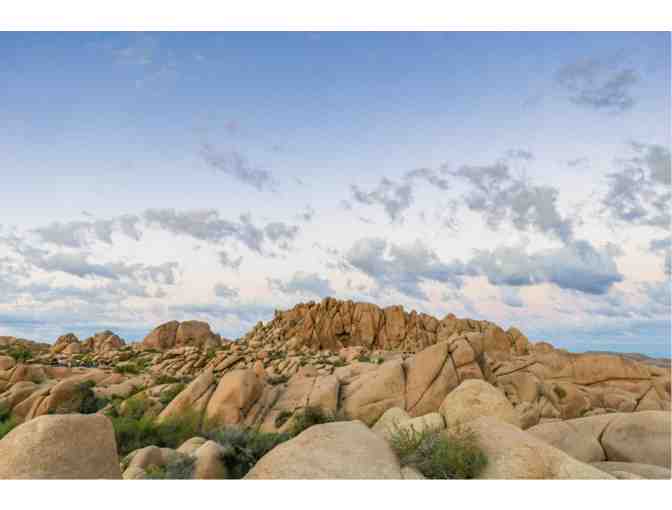 Nature Photography Prints 8x12